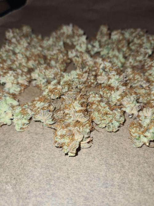 RQS / Sweet,zz Auto ✔️. Week 11