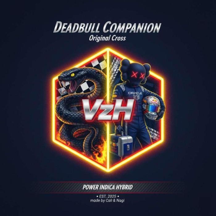 VzH / Dead Bull Companion. Week 0