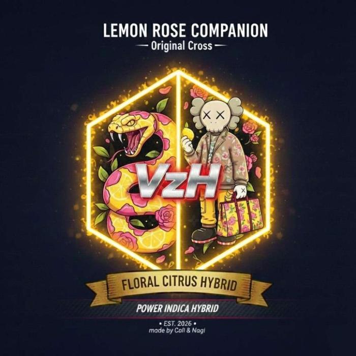 VzH / Lemon Rose Companion EST : 2026. Week 0