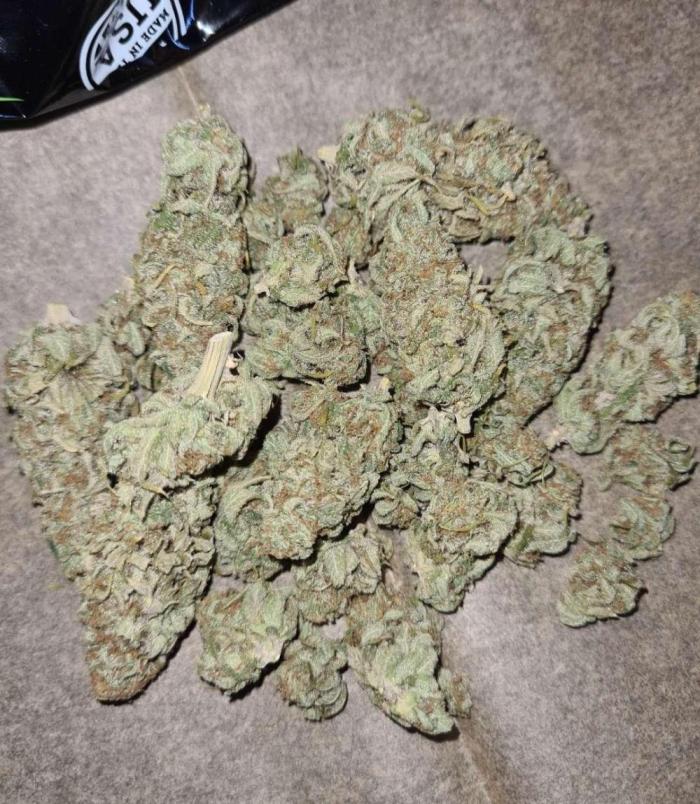 Strawberry Cough (Zamnesia Seeds). Week 17