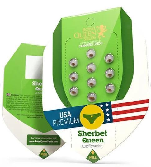 RQS / Sherbet Queen Auto. Week 0