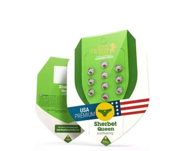Grow Tent MyHomeGrow 80x80x180. Week 0