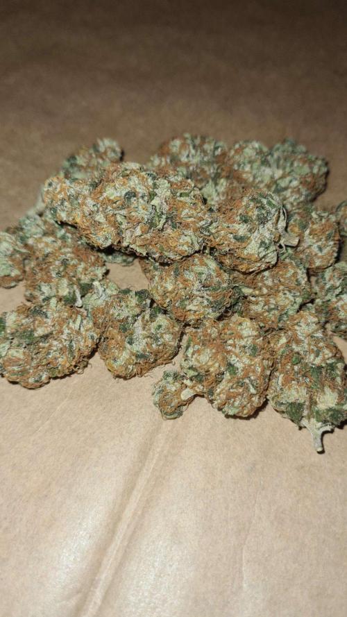 VzH / Key Lime. Week 11