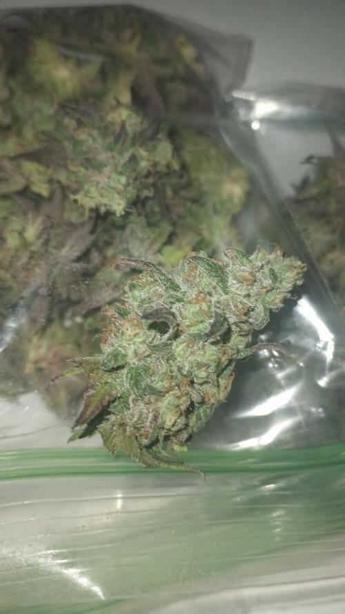 Super Fried Applez ‍♂️🍗🍎. Week 21