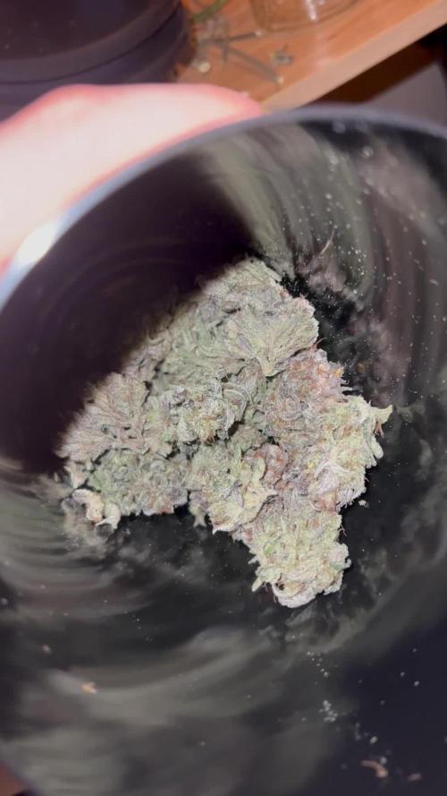 3 STRAIN AUTO RUN