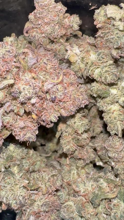 Lsd-25(#2)—Summer Autos 2025