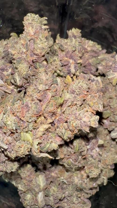 LSD-25—Summer Autos 2025