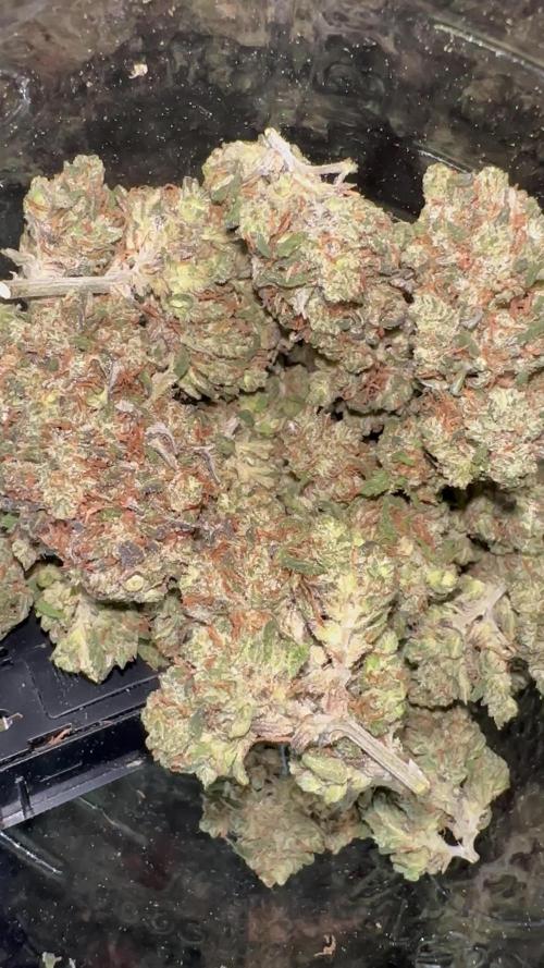 Banana Purple Punch-Summer Autos 2025