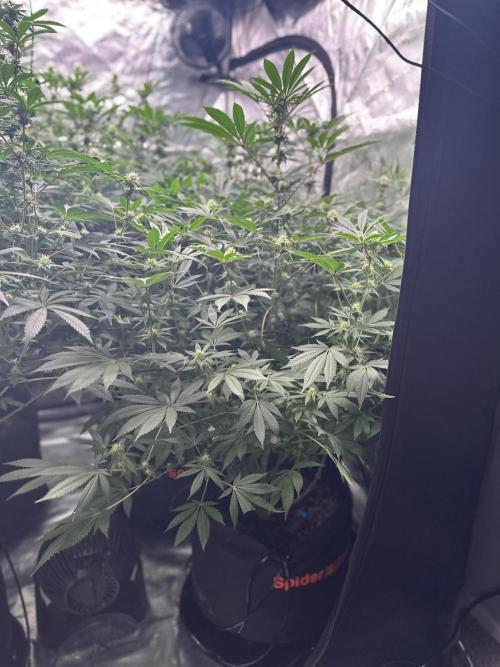 Sugar Rim- Fall Photos. Week 15