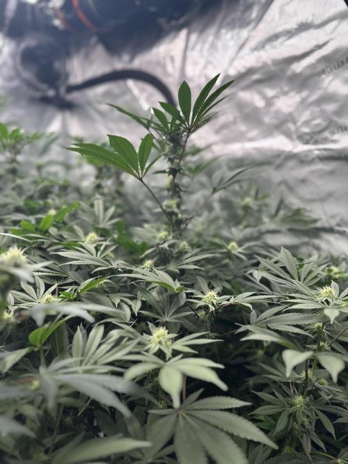 Sugar Rim- Fall Photos. Week 15