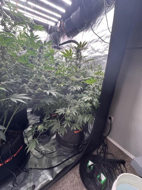 Sugar Rim- Fall Photos. Week 15