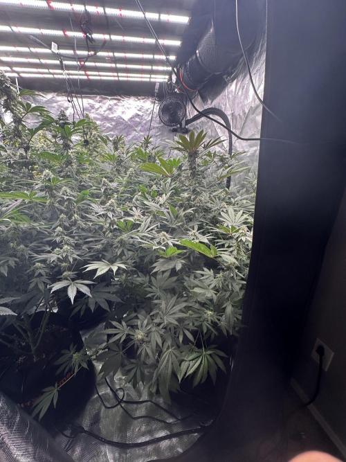 Sugar Rim- Fall Photos. Week 15