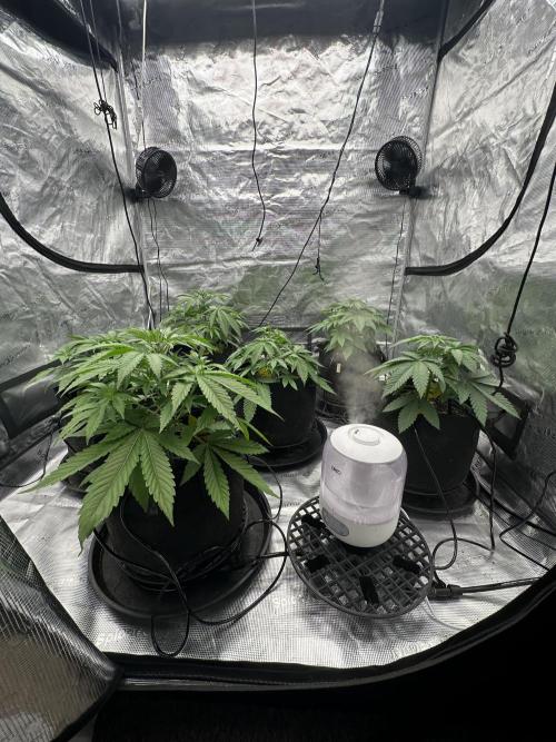 Spring 2026 Grow. Week 4