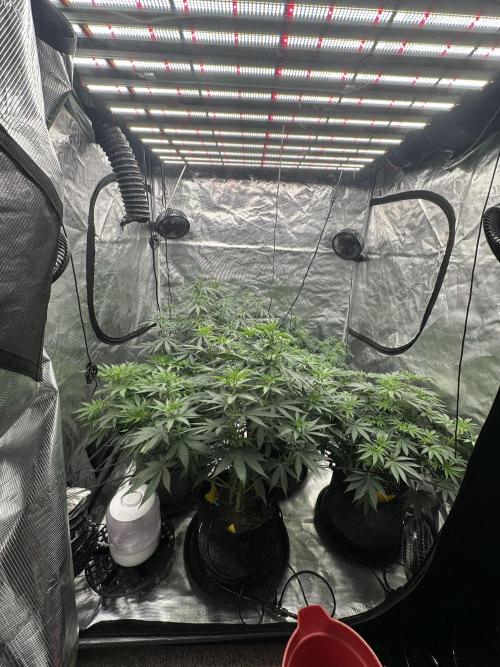 Spring 2026 Grow. Week 8 - 4/26
