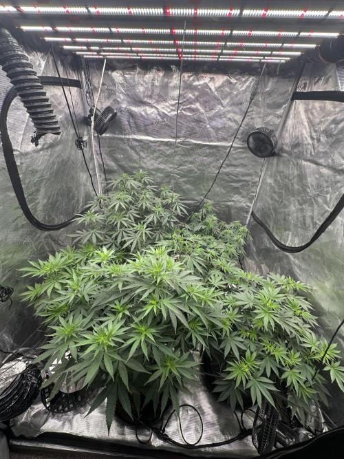 Spring 2026 Grow. Week 8 - 4/26