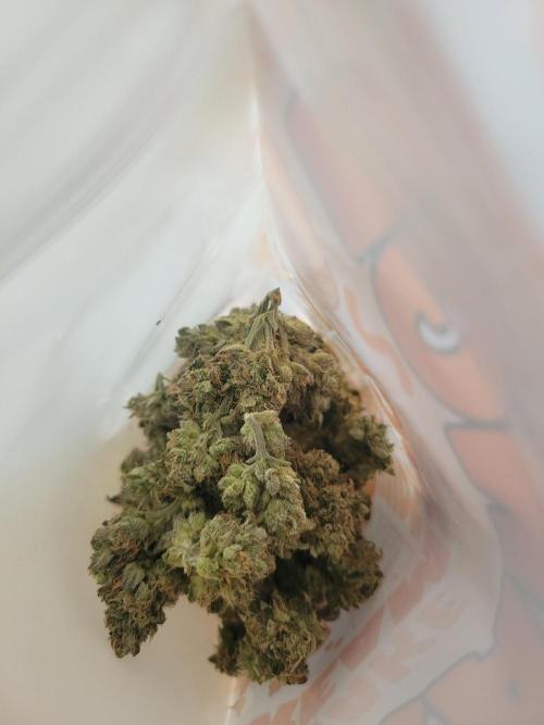 Lemon Orange. New favourite!. Week 17