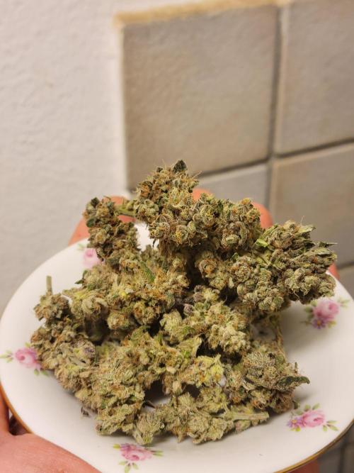 Lemon Orange. New favourite!. Week 17