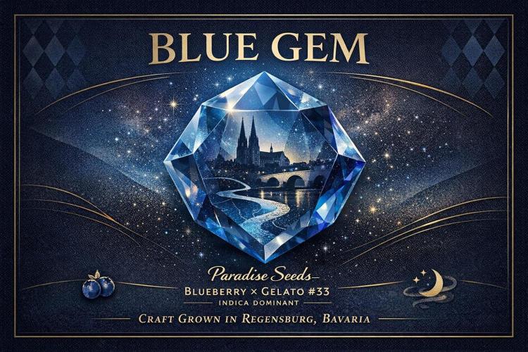 Blue Gem und White Gushers #33. Week 11