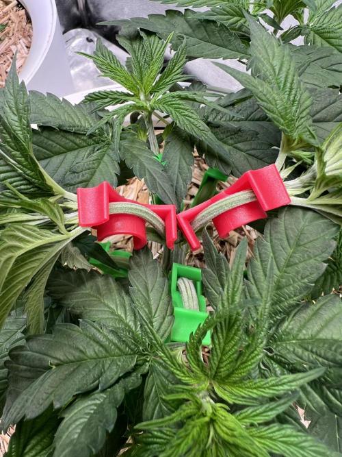 Purple Lemonade FF – Purple Drip. Week 4