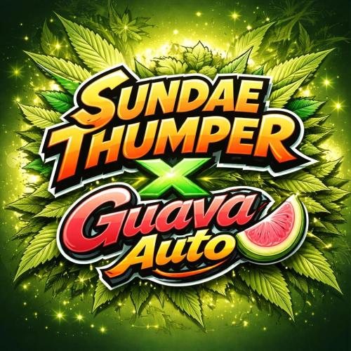 GoodGenetix | Thundae-G Auto. Week 0