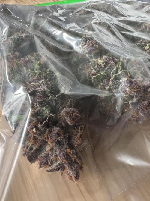 Fast Buds - Purple Haze Auto. Week 11