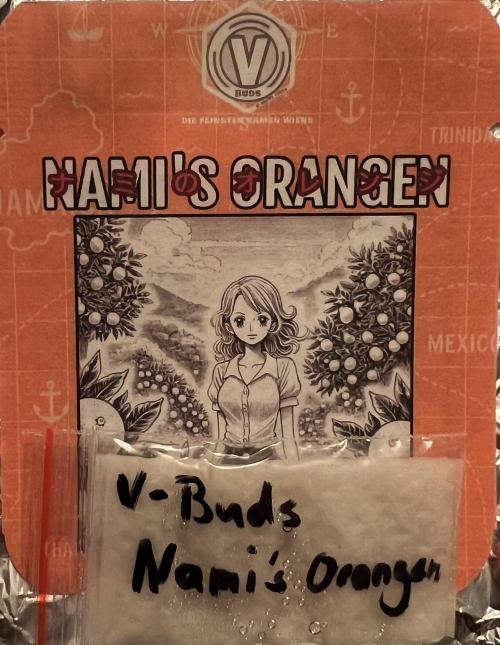Nami’s Orangen Auto (by V-Buds). Week 0