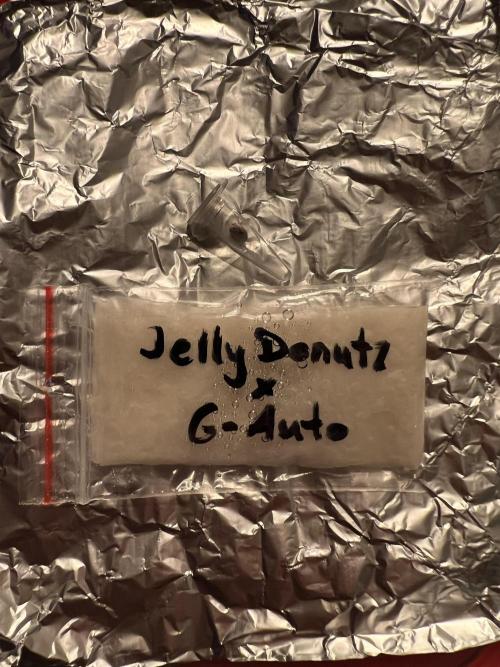 G-Donutz Auto (by GoodGenetix). Week 0