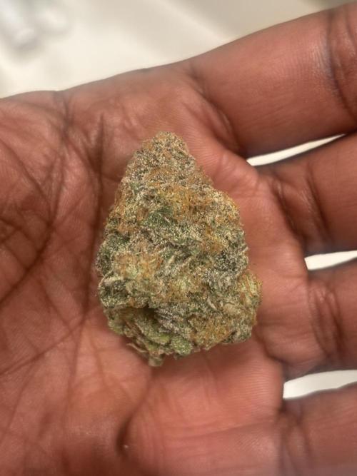 (2)BBMxNf90s1 / GmintZxcheesedanish. Week 11
