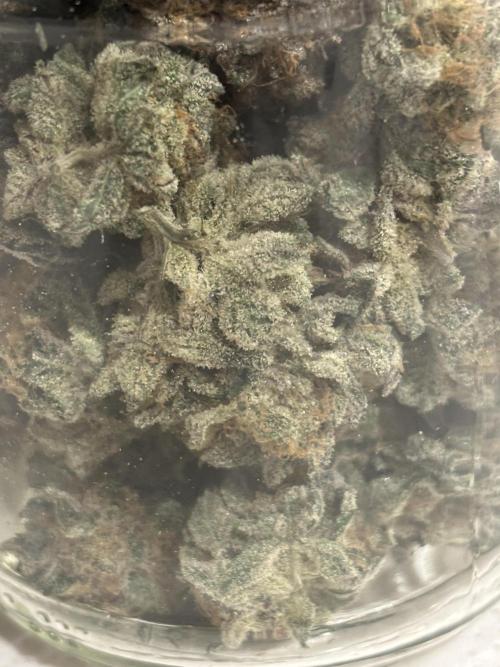 (2)BBMxNf90s1 / GmintZxcheesedanish. Week 11