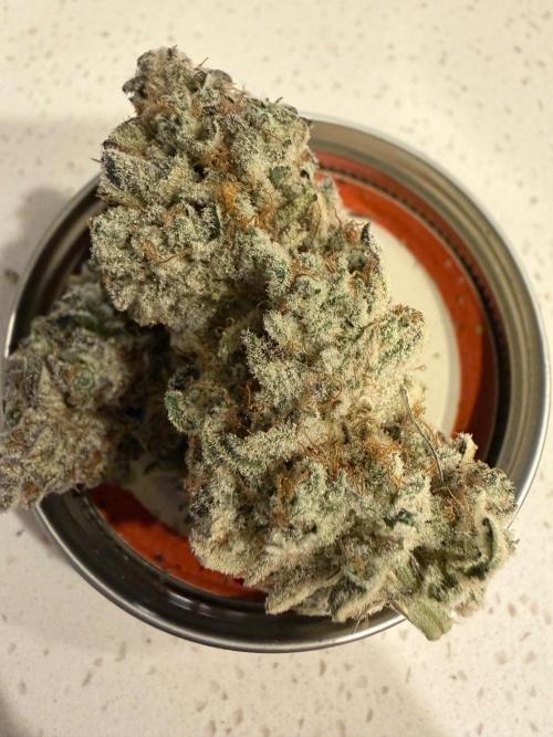 Strawberry Diesel. Week 15