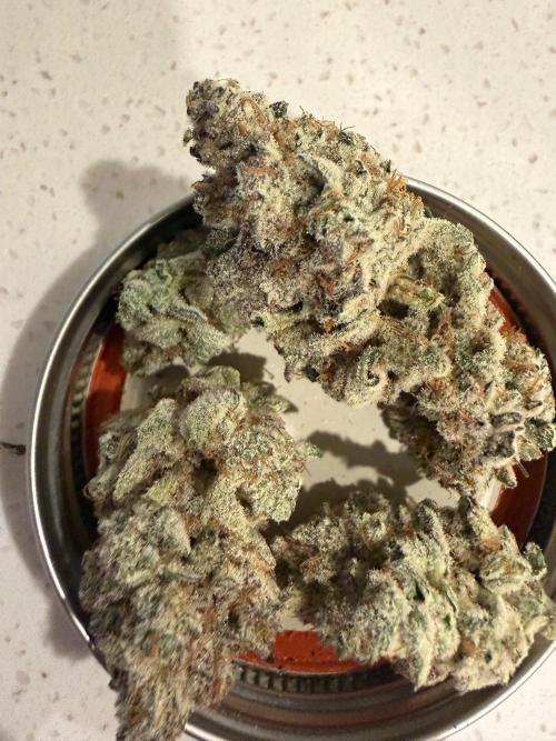 Strawberry Diesel. Week 15