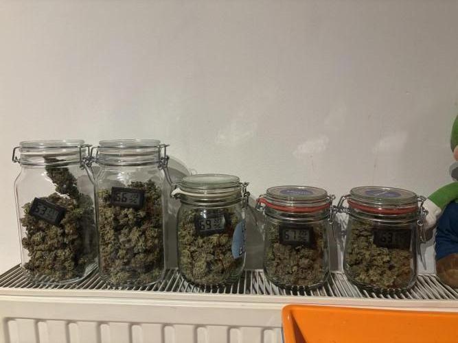 We're back baby. Week 20 - 29/08 trimmed