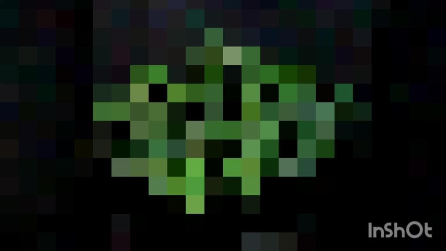 Runtz Automatic Barneys Farm