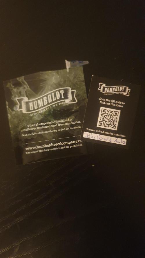 Jelly Donutz Auto Humboldt. Week 0