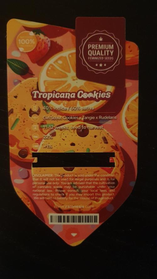Tropicana Cookies Auto Zamnesia. Week 0