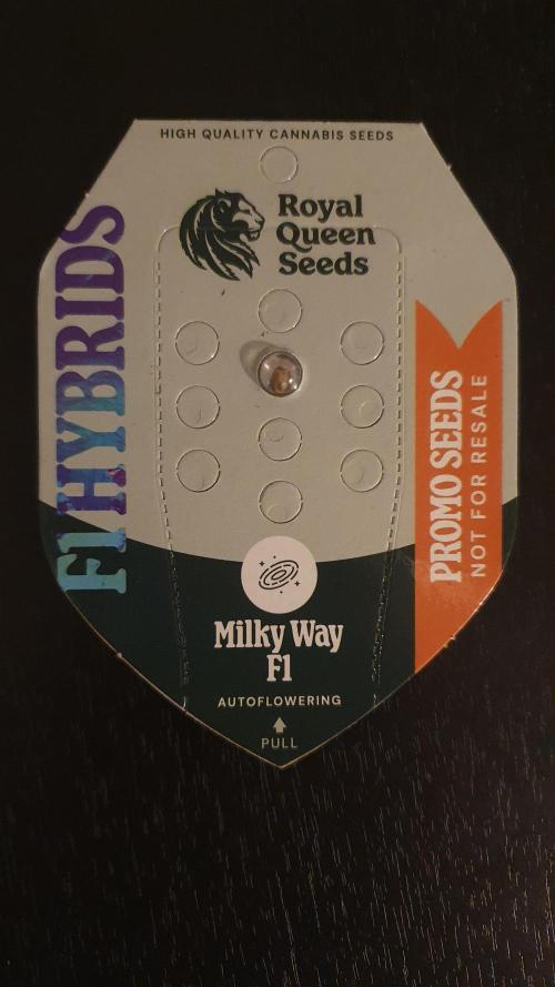 Milkyway F1 Auto RQS. Week 0