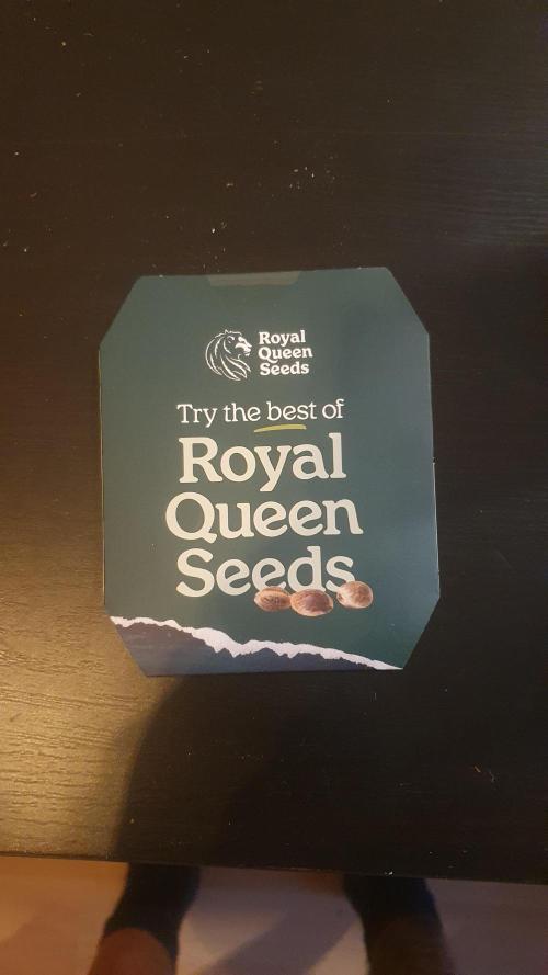 Milkyway F1 Auto RQS. Week 0