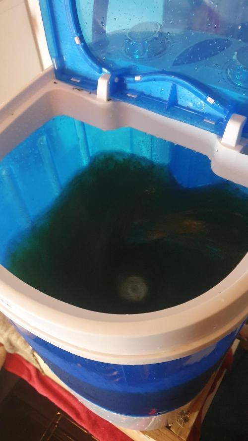 Diablo Delights XL Auto Sweetseeds. Week 11