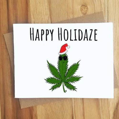 Black Diamond Zamnesia. Week 13