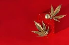 Gushers Zamnesia. Week 13