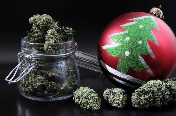 Gushers Zamnesia. Week 13