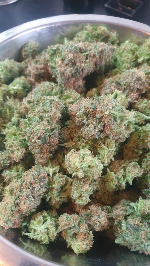 Super Boof Zamnesia. Week 14