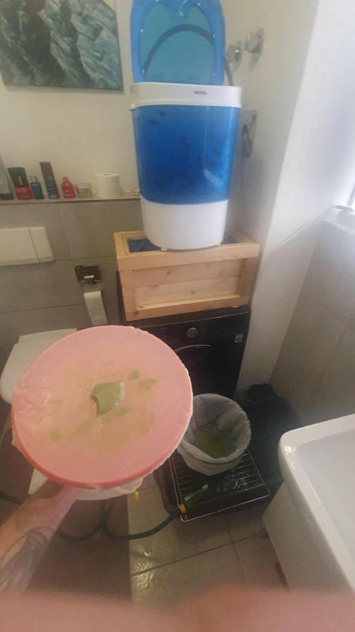 Biscotti Zamnesia. Week 14