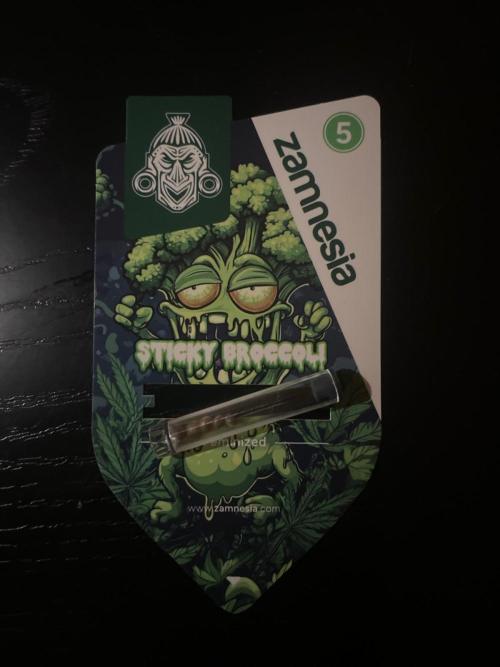 Sticky Brokkoli Zamnesia Eternity Cup. Week 0