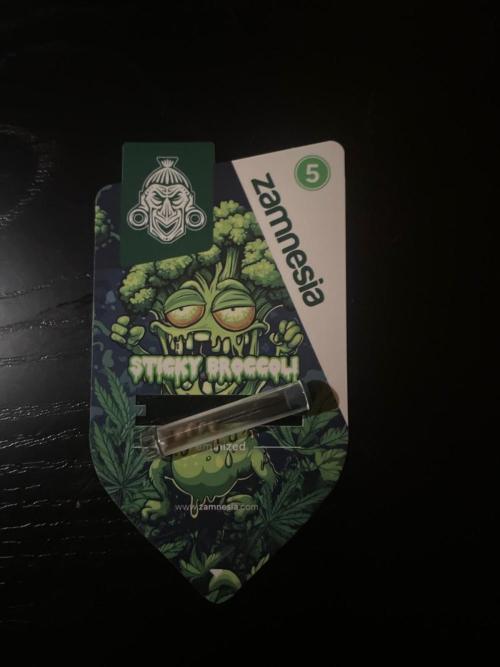 Sticky Brokkoli Zamnesia Eternity Cup. Week 0