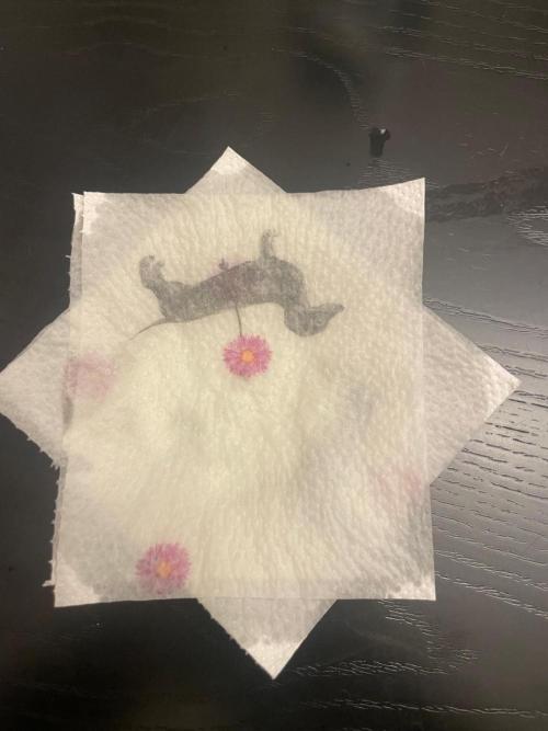 Sticky Brokkoli Zamnesia Eternity Cup. Week 0