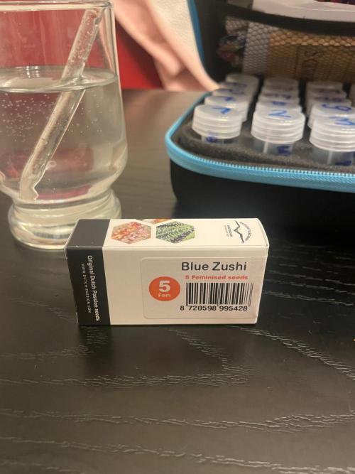 Blue Zushi Dutch Passion. Week 0