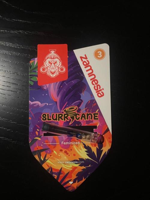 Slurricane Zamnesia. Week 0