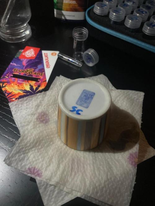 Slurricane Zamnesia. Week 0