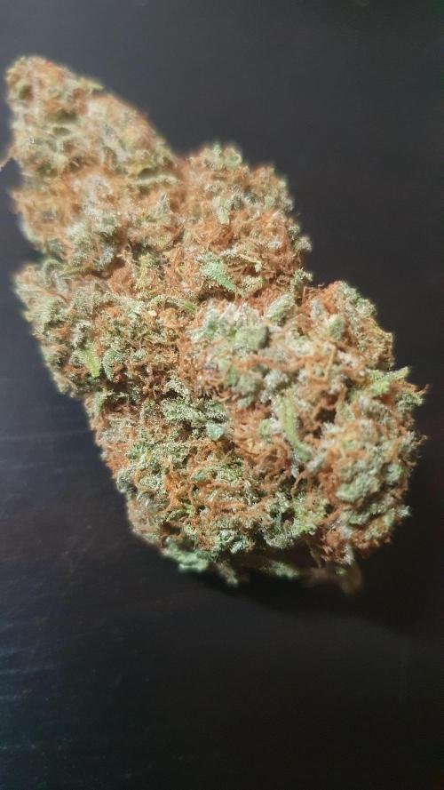 Super Boof Zamnesia. Week 14